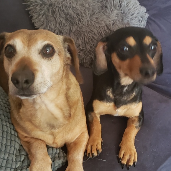 Meet your Posher, Larisa - Picture 6 of 8